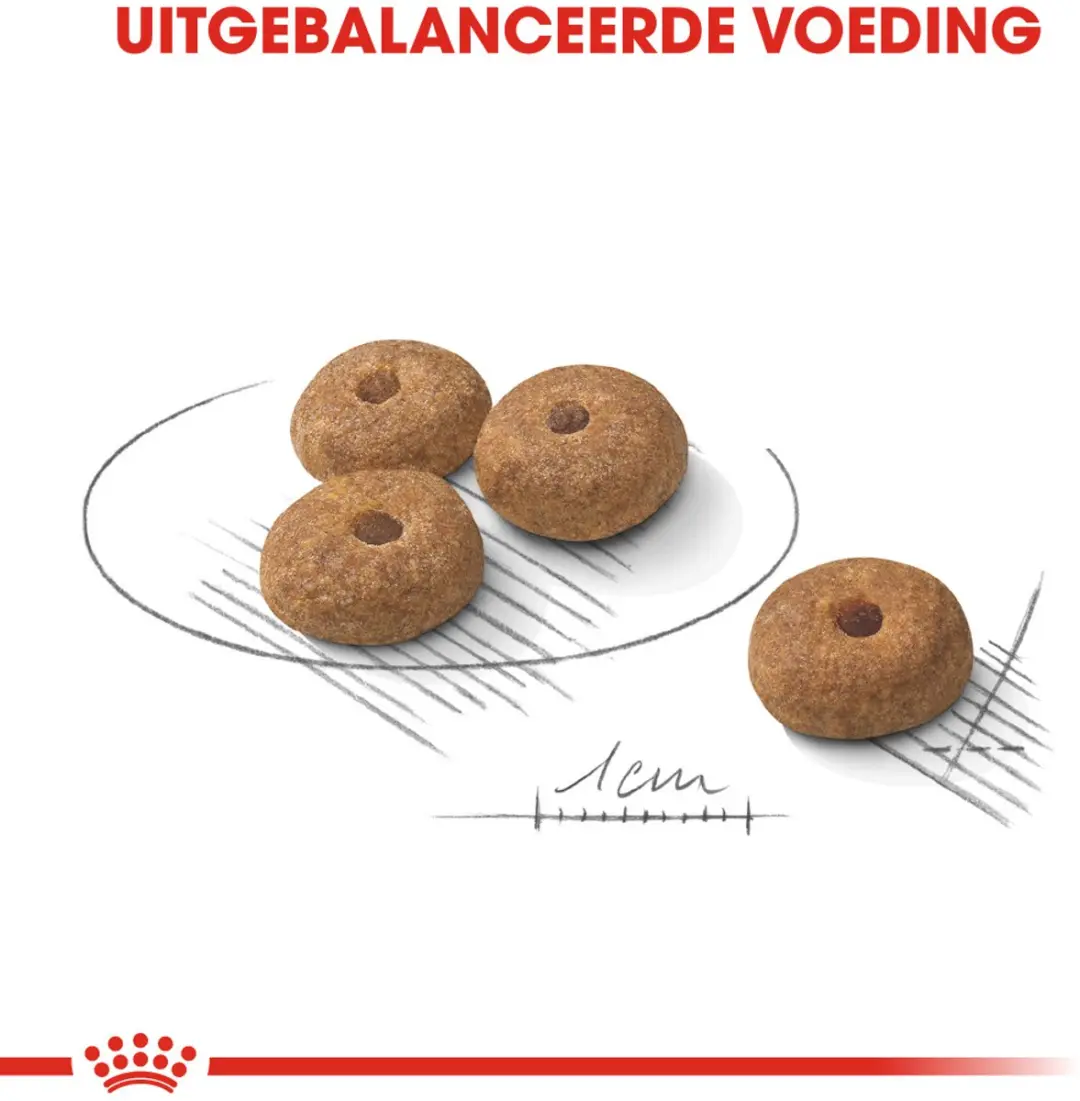 Royal Canin Mini Sterilised Hondenbrokken 8kg