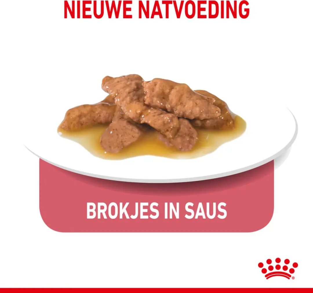 Royal Canin Indoor Gravy Natvoer - 48 x 85g