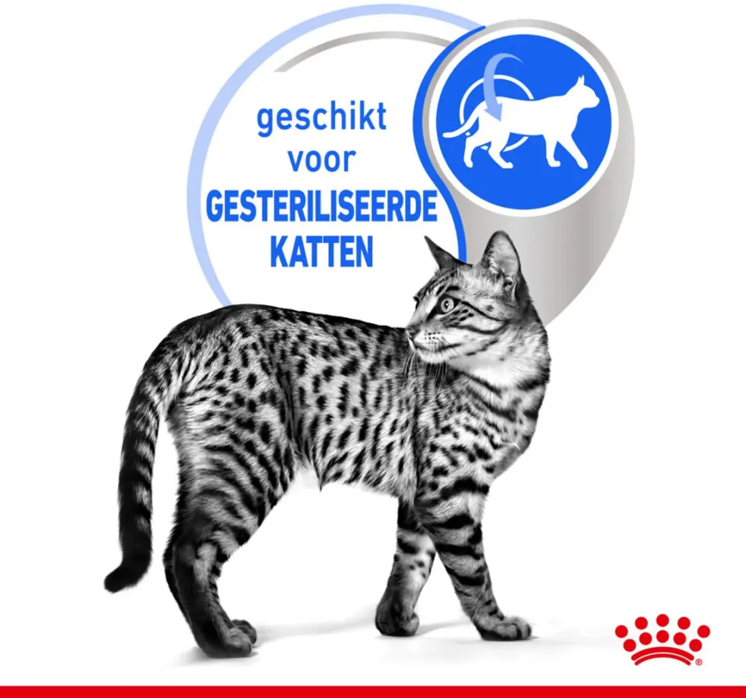 Royal Canin Indoor Gravy Natvoer - 48 x 85g