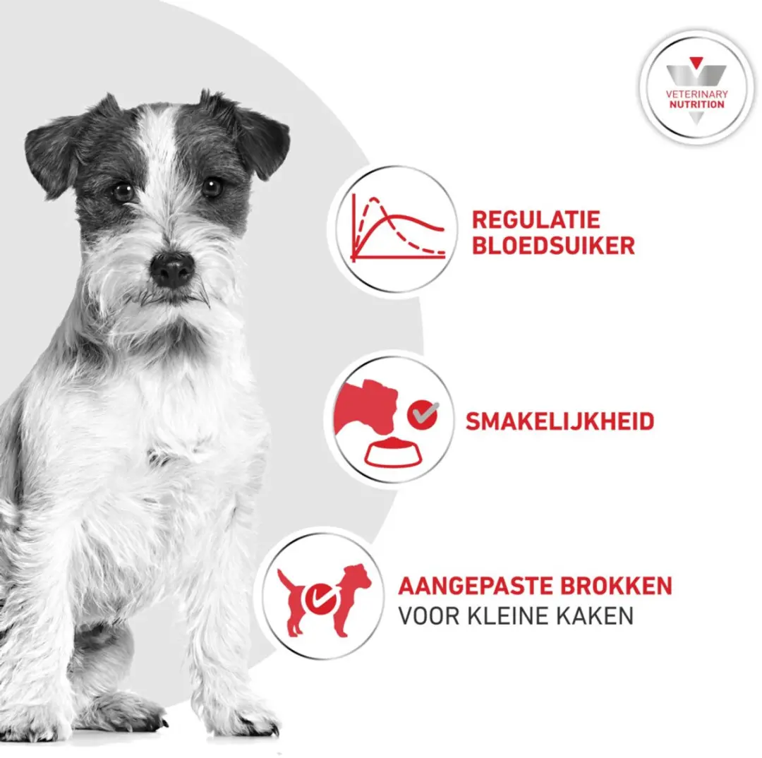 Royal Canin Glycobalance Small Dog 8kg