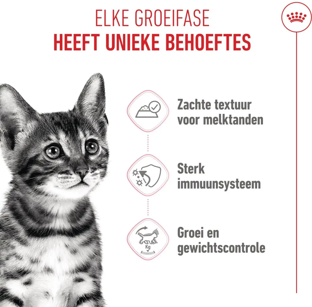 Royal Canin Katjes Sterilised Gelatine - 12x85g