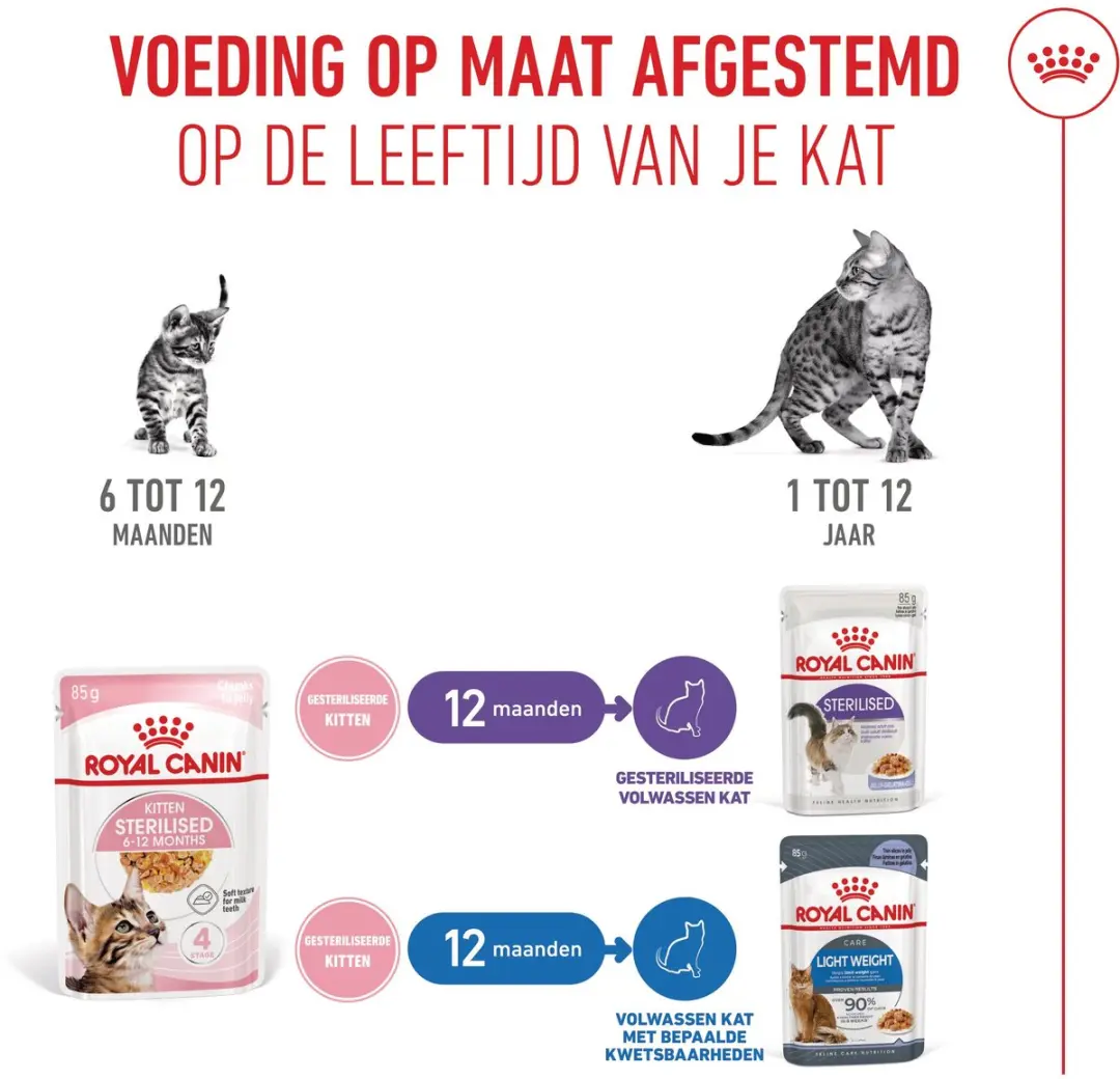 Royal Canin Katjes Sterilised Gelatine - 12x85g