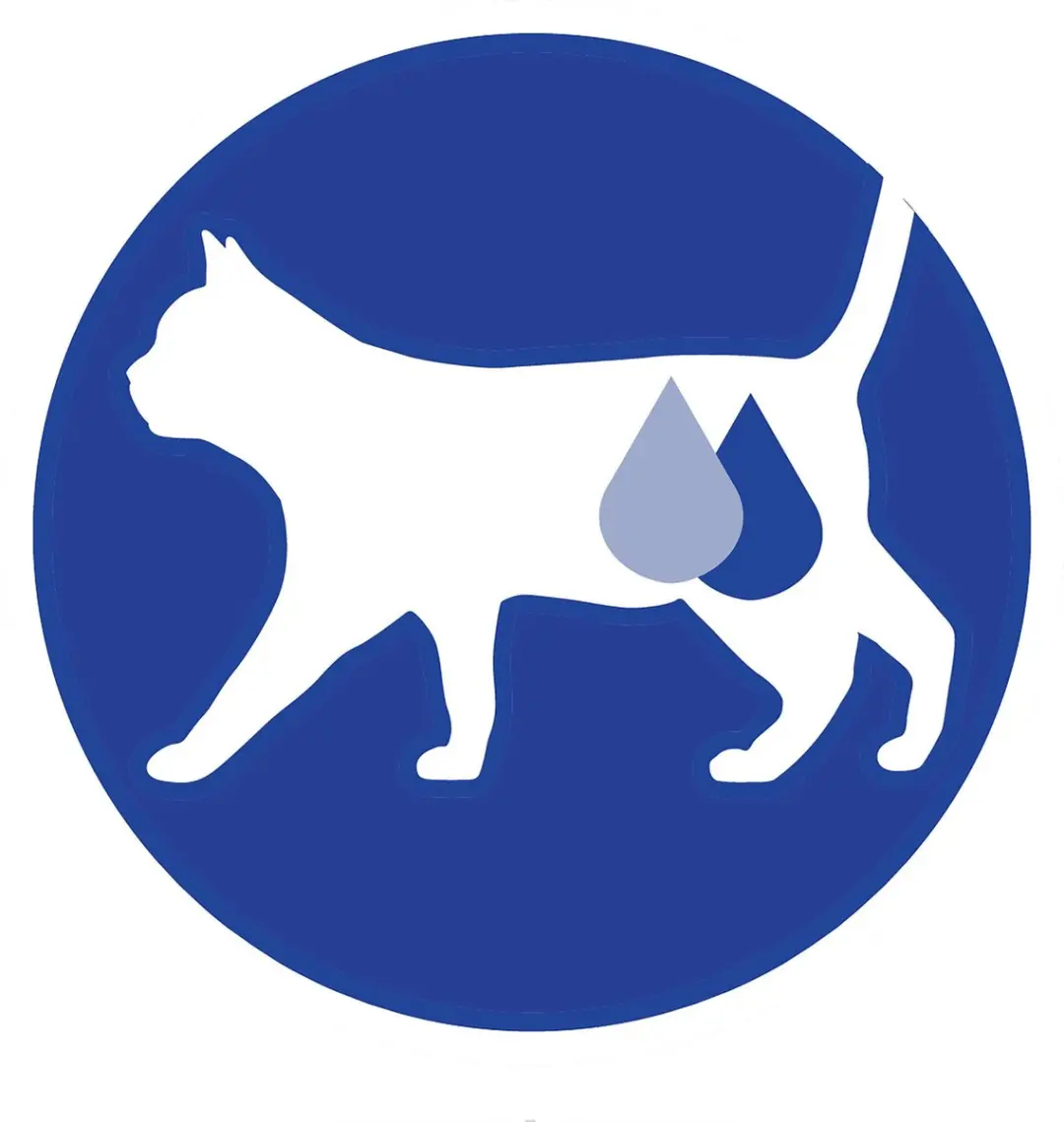 Purina ONE Senior Kattenvoer Kip/Volkoren Granen 1,5 kg