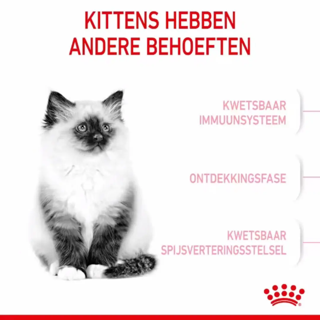 Royal Canin Kitten Kattenvoer