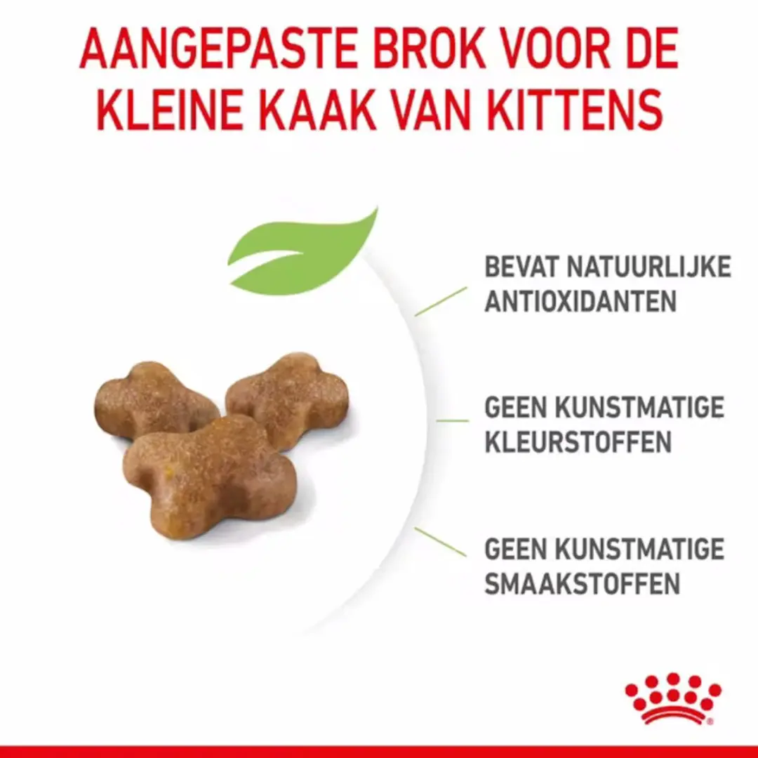 Royal Canin Kitten Kattenvoer - 4x4kg