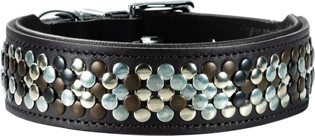 Hunter Halsband Arizona Bruin