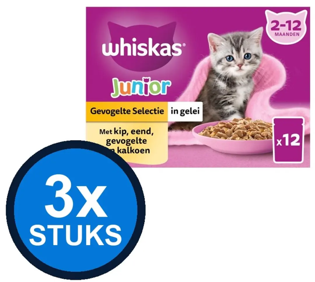 Whiskas Pouch Junior Gelei Gevogelte 12x85g