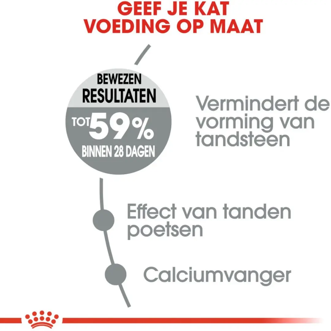 Royal Canin Dental Care Kattenvoer 400g - afbeelding 6 van 6