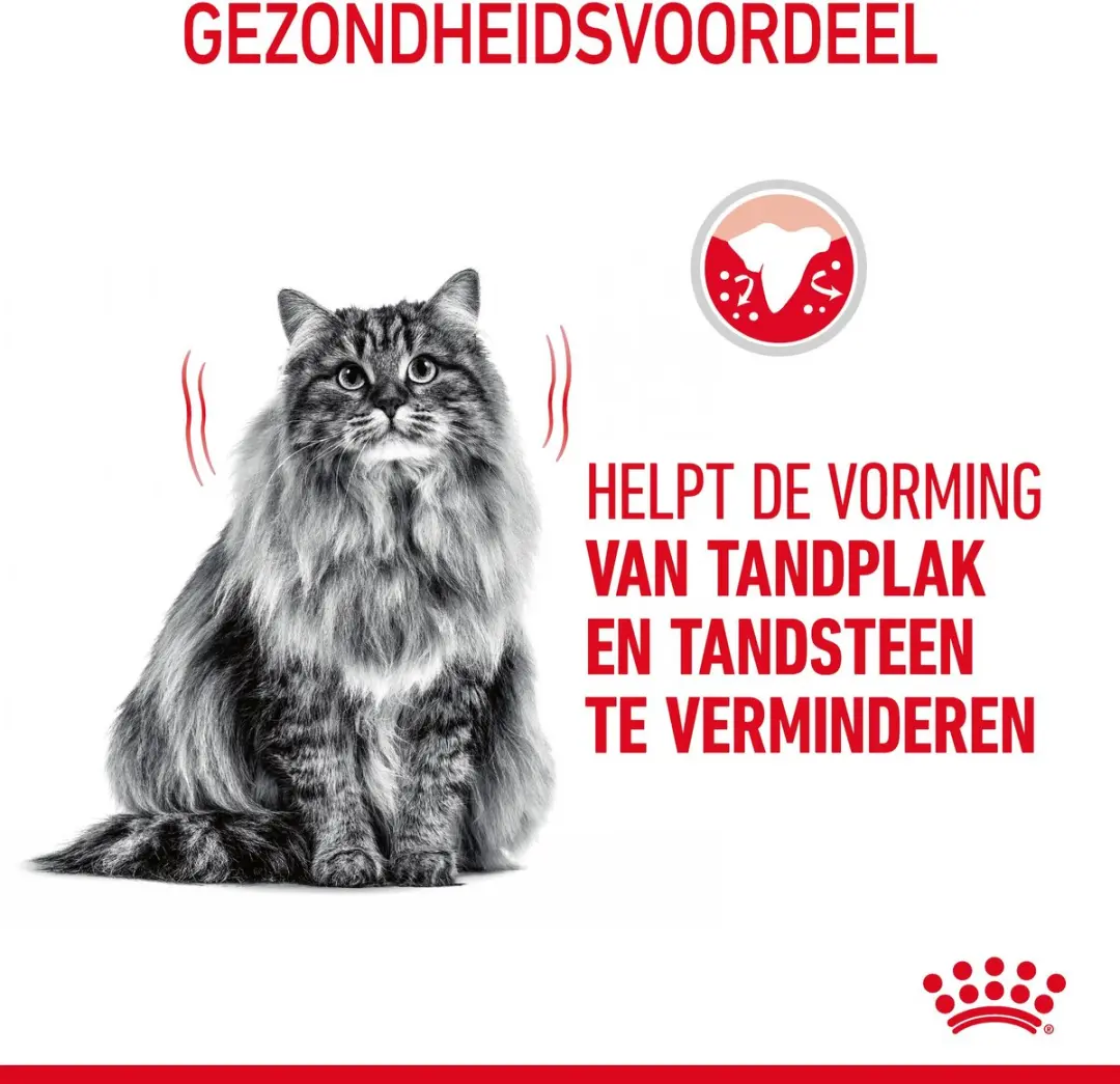 Royal Canin Dental Care Kattenvoer 400g