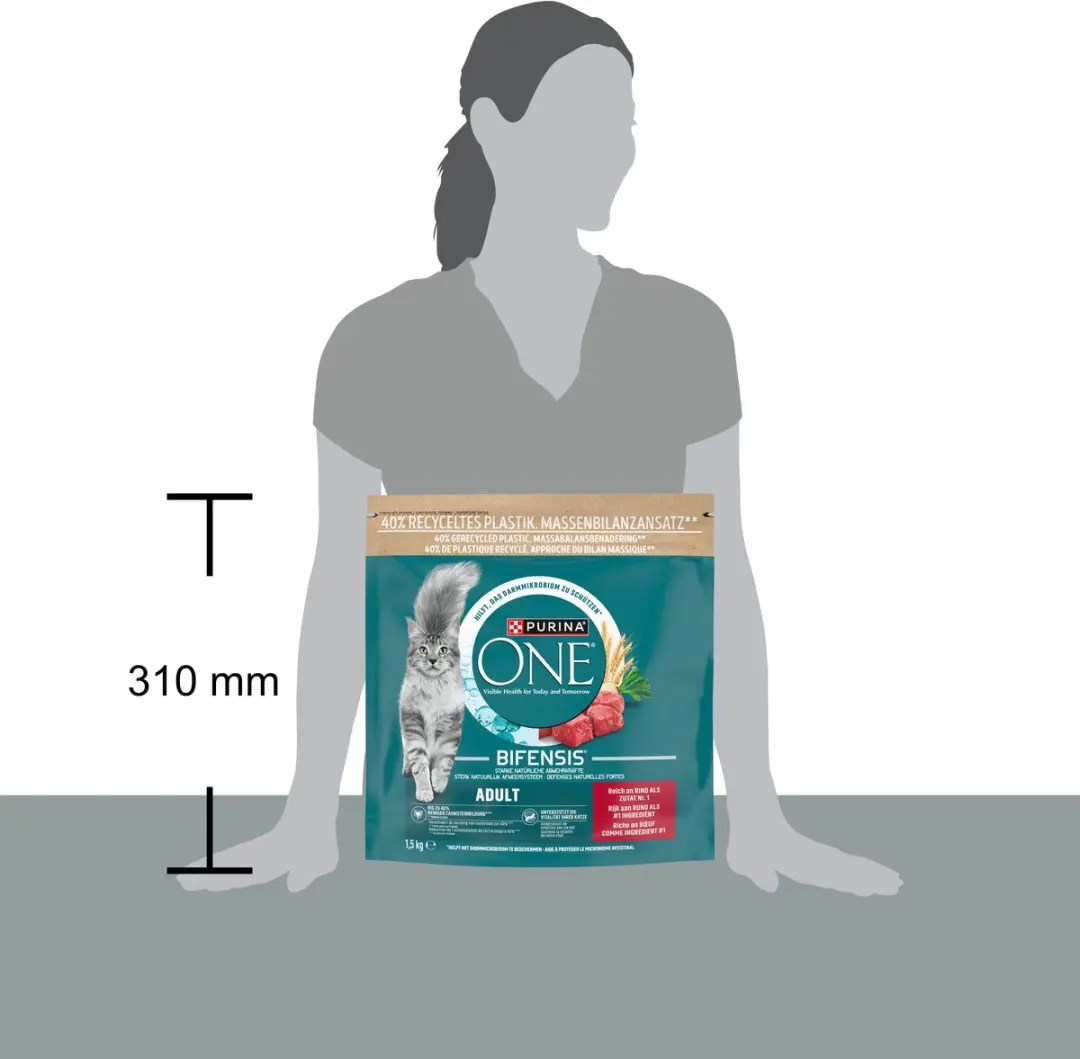 Purina ONE Adult Kattenbrokjes Rund & Volkoren Granen - 6 kg