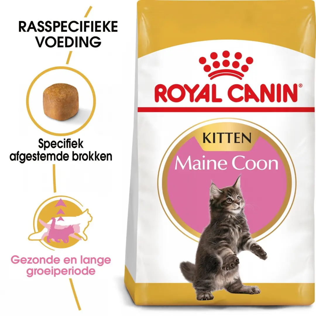 Royal Canin Maine Coon Kitten - 4kg Kattenvoer