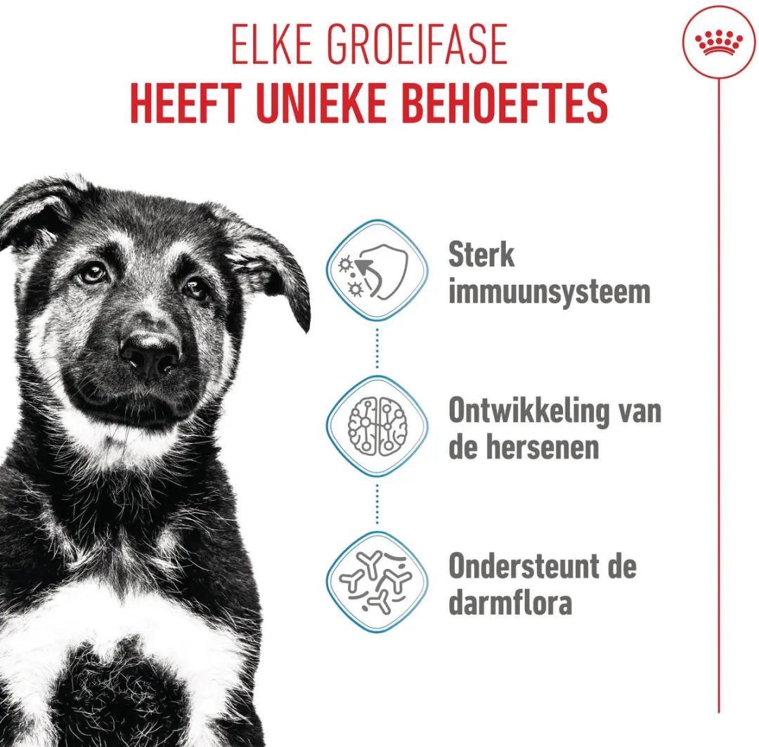 Royal Canin Maxi Puppy Hondenvoer 15kg
