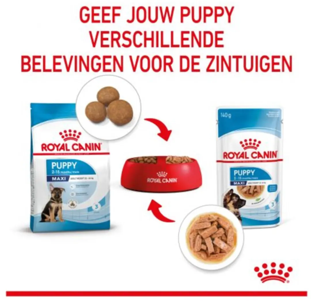 Royal Canin Maxi Puppy Natvoer - 40x140g