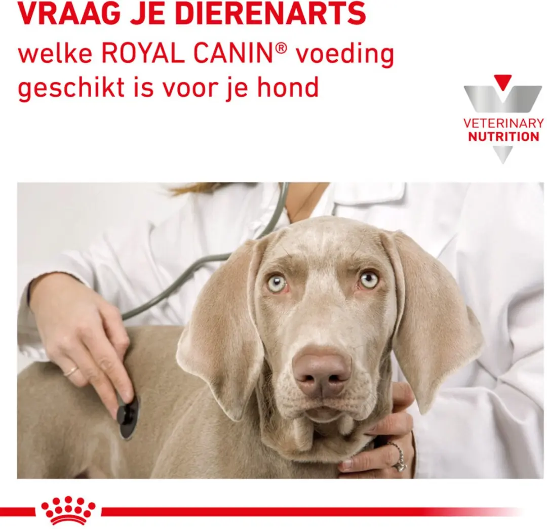 Royal Canin Nat Renal Special Hondenvoer - 12x410g
