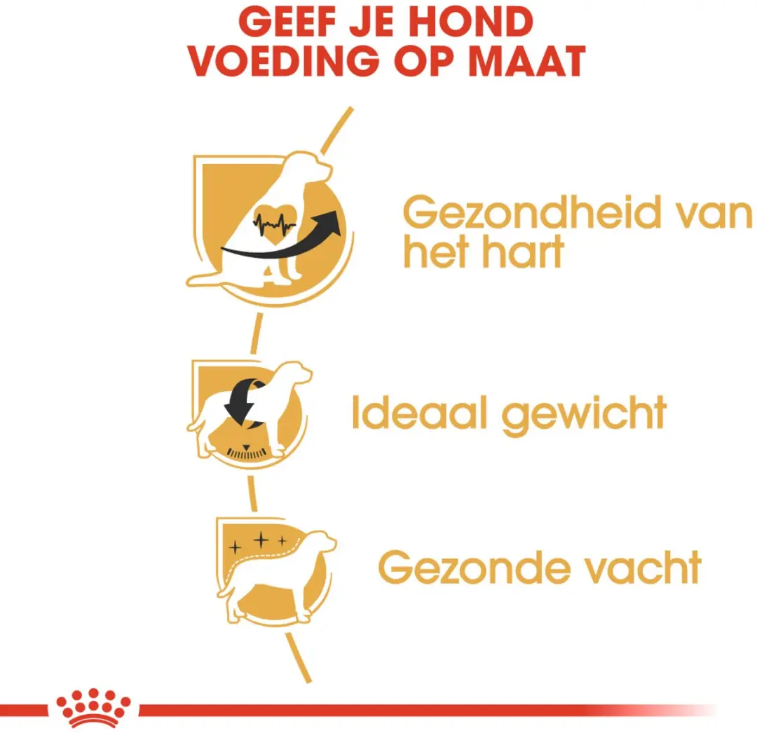 Royal Canin Cavalier King Charles Adult Hondenbrokken 7.5kg