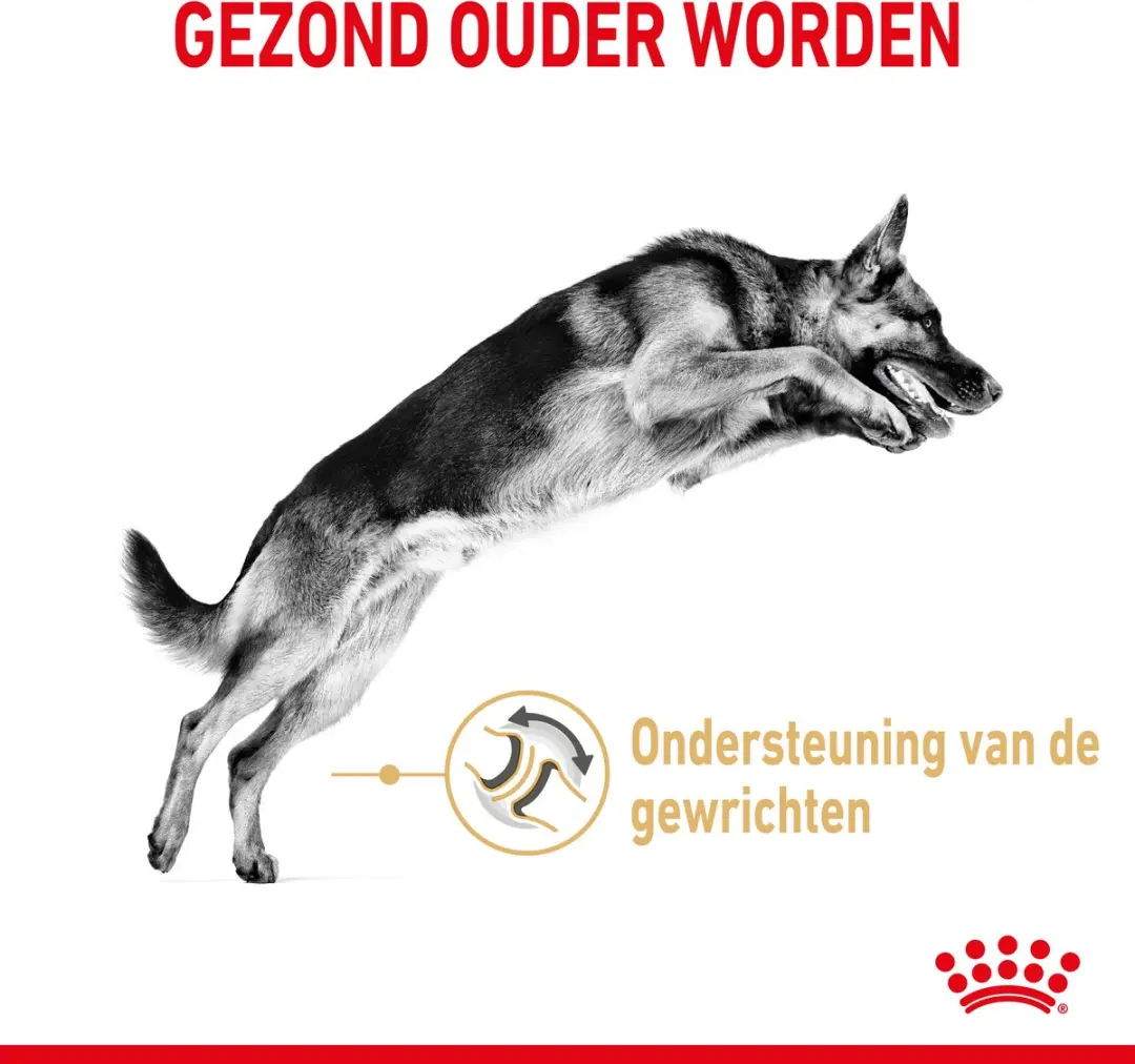 Royal Canin Duitse Herder Volwassen 5+ 12kg