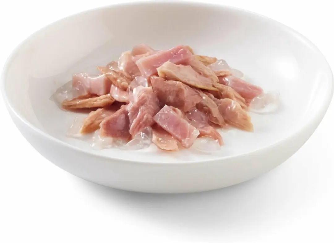Schesir Kattenvoer Tonijn & Ham in Gelei - 12x85g
