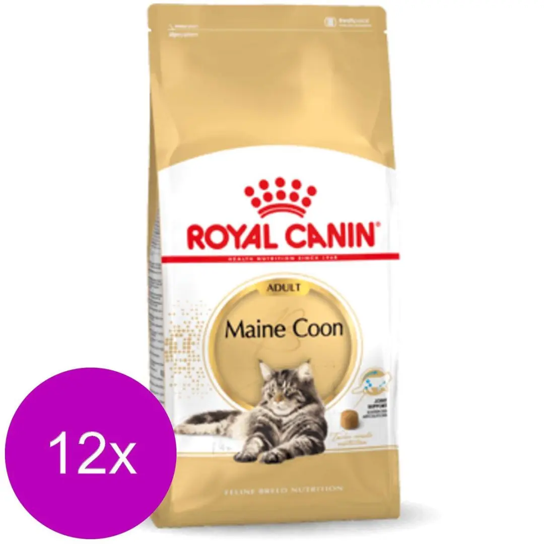 Royal Canin Maine Coon Adult Kattenvoer - 12x400g