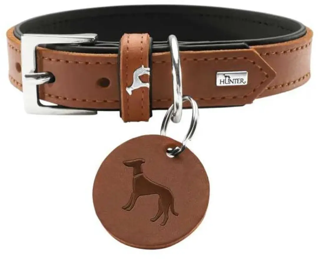 Hunter Larvik Hondenhalsband