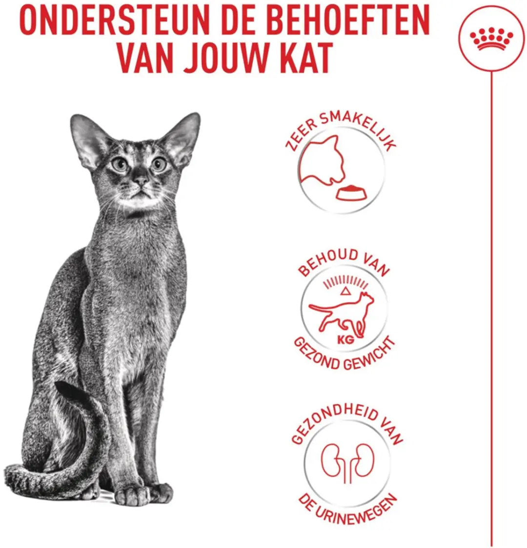 Royal Canin Fussy Exigent Kattenvoer 2kg