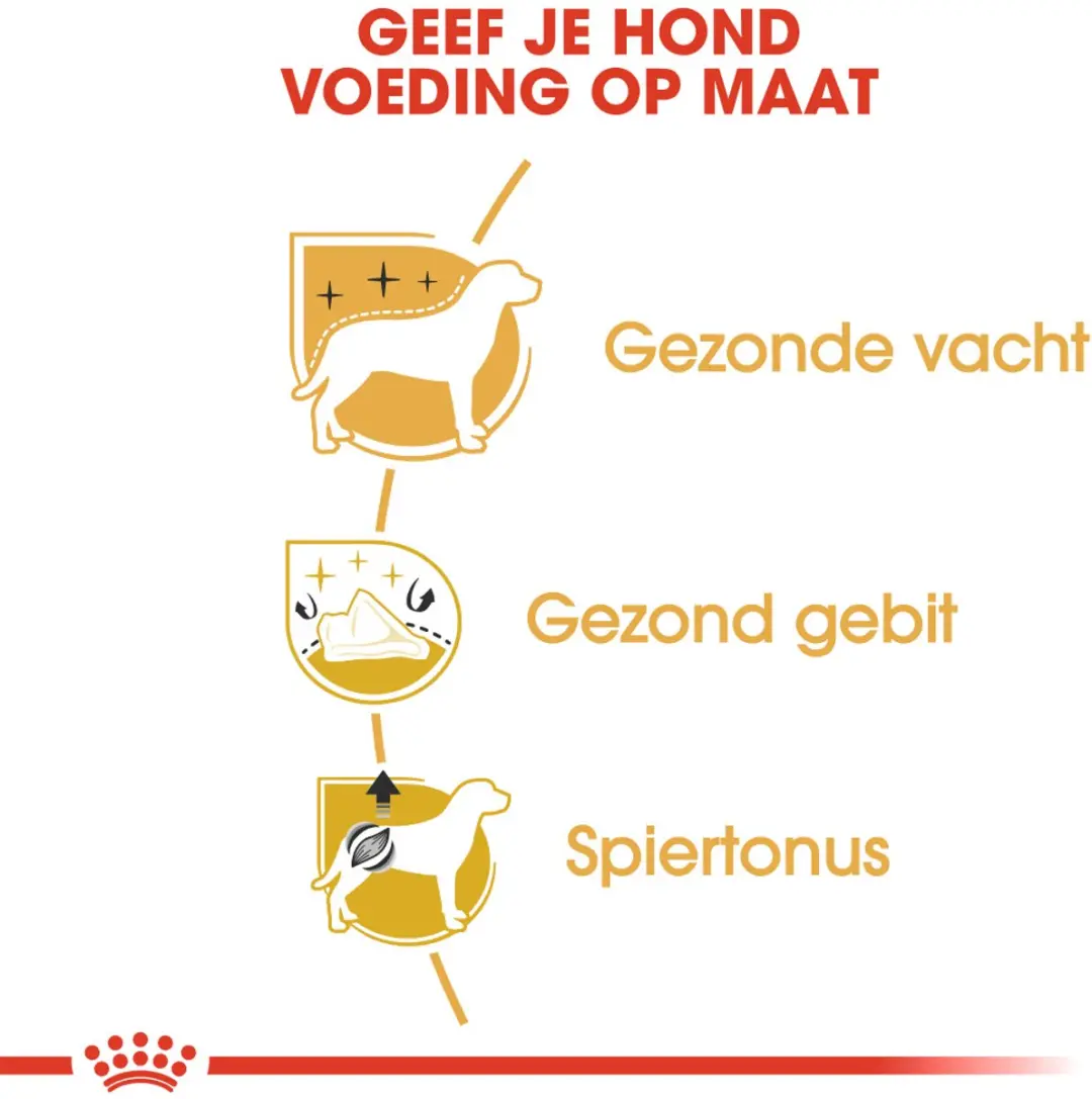Royal Canin Poodle Adult Hondenvoer Brokken 7.5kg