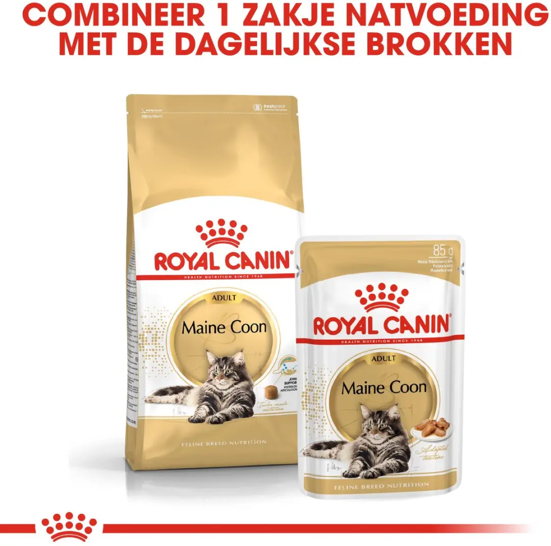Royal Canin Maine Coon Kattenvoer Brokjes 4kg