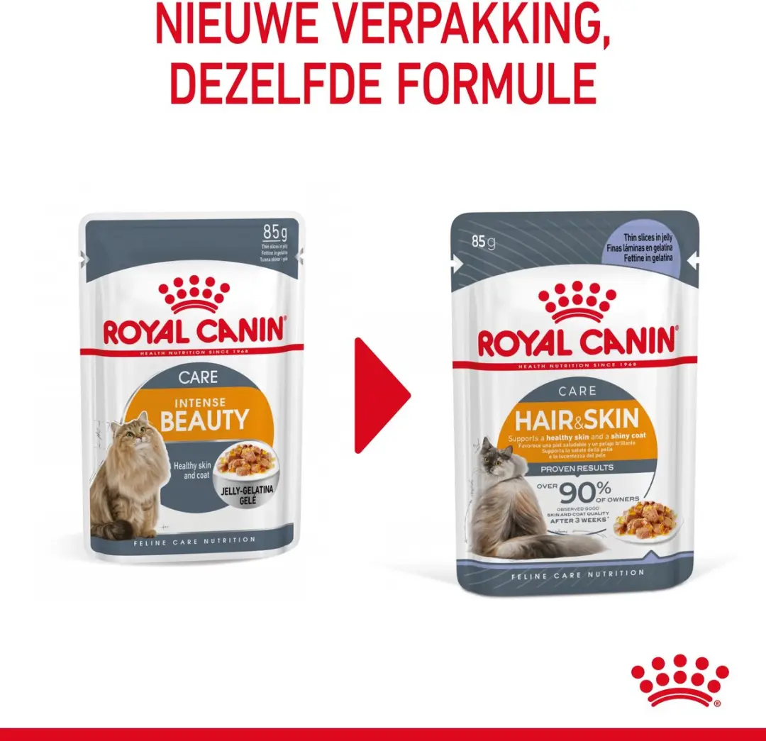 Royal Canin Hair & Skin Care In Jelly Kattenvoer - 12x85g