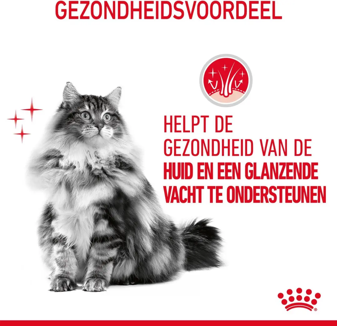 Royal Canin Hair & Skin Care In Jelly Kattenvoer - 12x85g