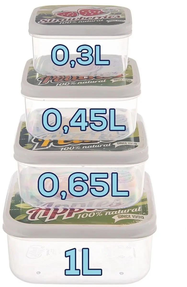 Orion Voedselcontainers Set - 4 Maten Transparant
