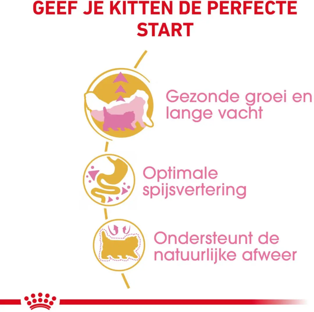 Royal Canin Persian Kitten Kattenvoer - 6x2kg