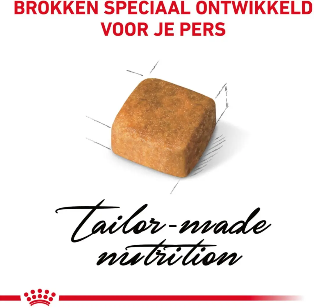 Royal Canin Persian Kitten Kattenvoer - 6x2kg