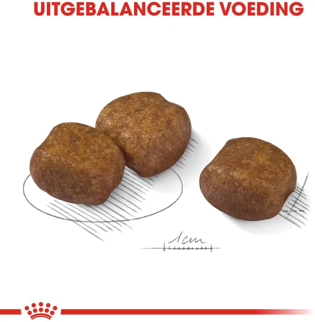 Royal Canin Dental Care Maxi Hondenvoer - 9 kg