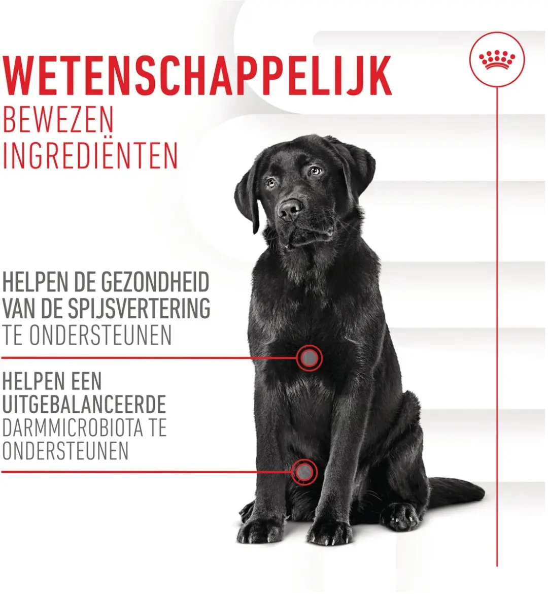 Royal Canin Digestion Chews Hondensnacks 160g - 40 Stuks