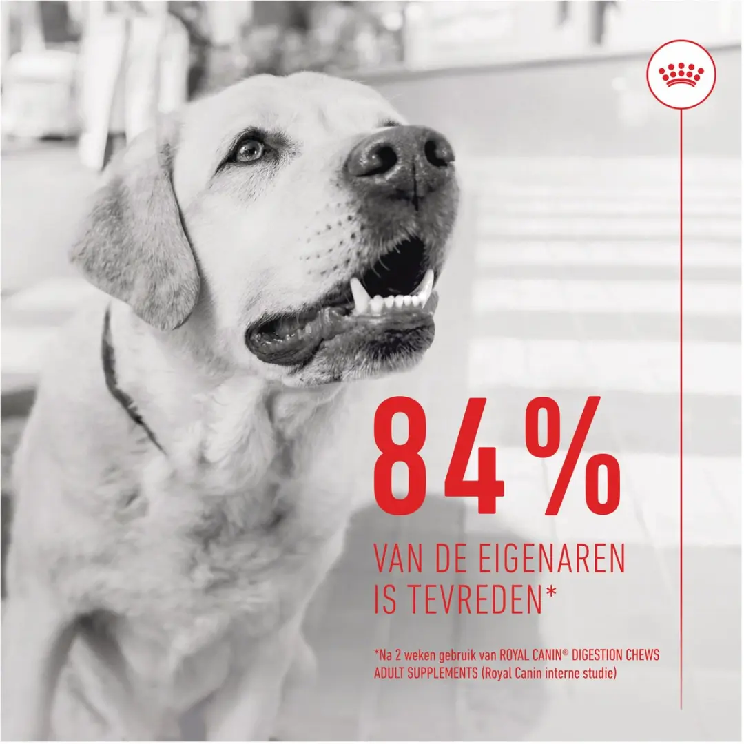 Royal Canin Digestion Chews Hondensnacks 160g - 40 Stuks