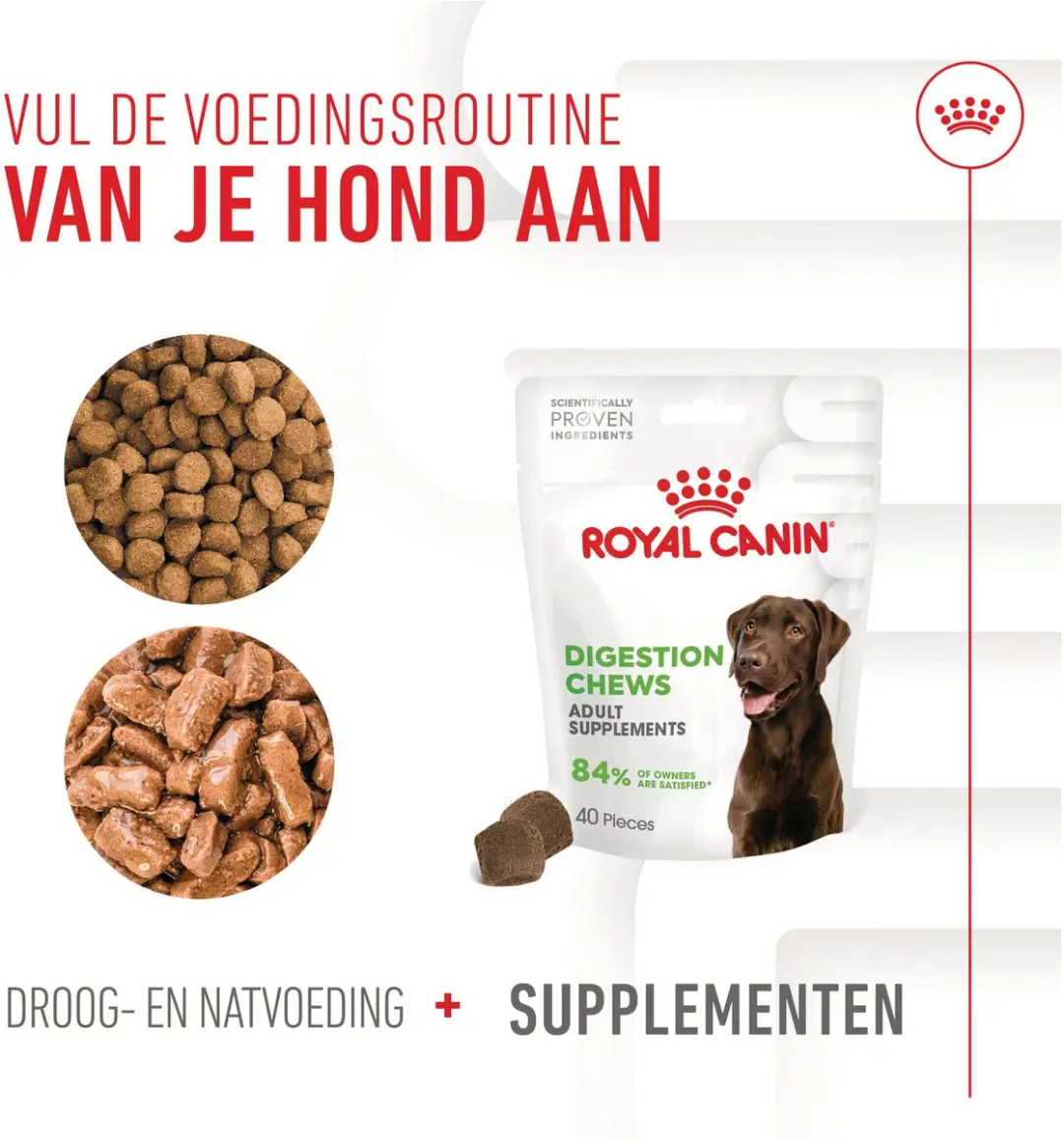 Royal Canin Digestion Chews Hondensnacks 160g - 40 Stuks - afbeelding 6 van 6