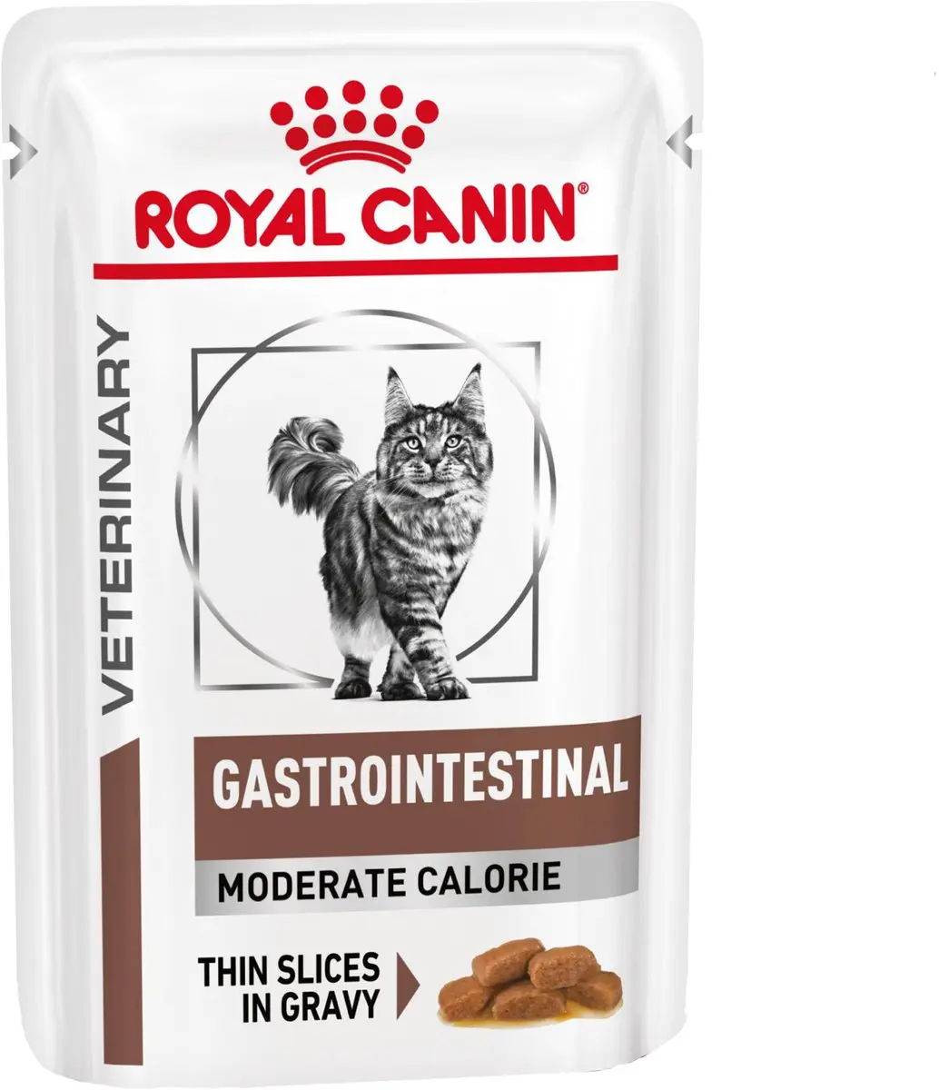 Royal Canin Gastro Intestinal Kat 48x85g