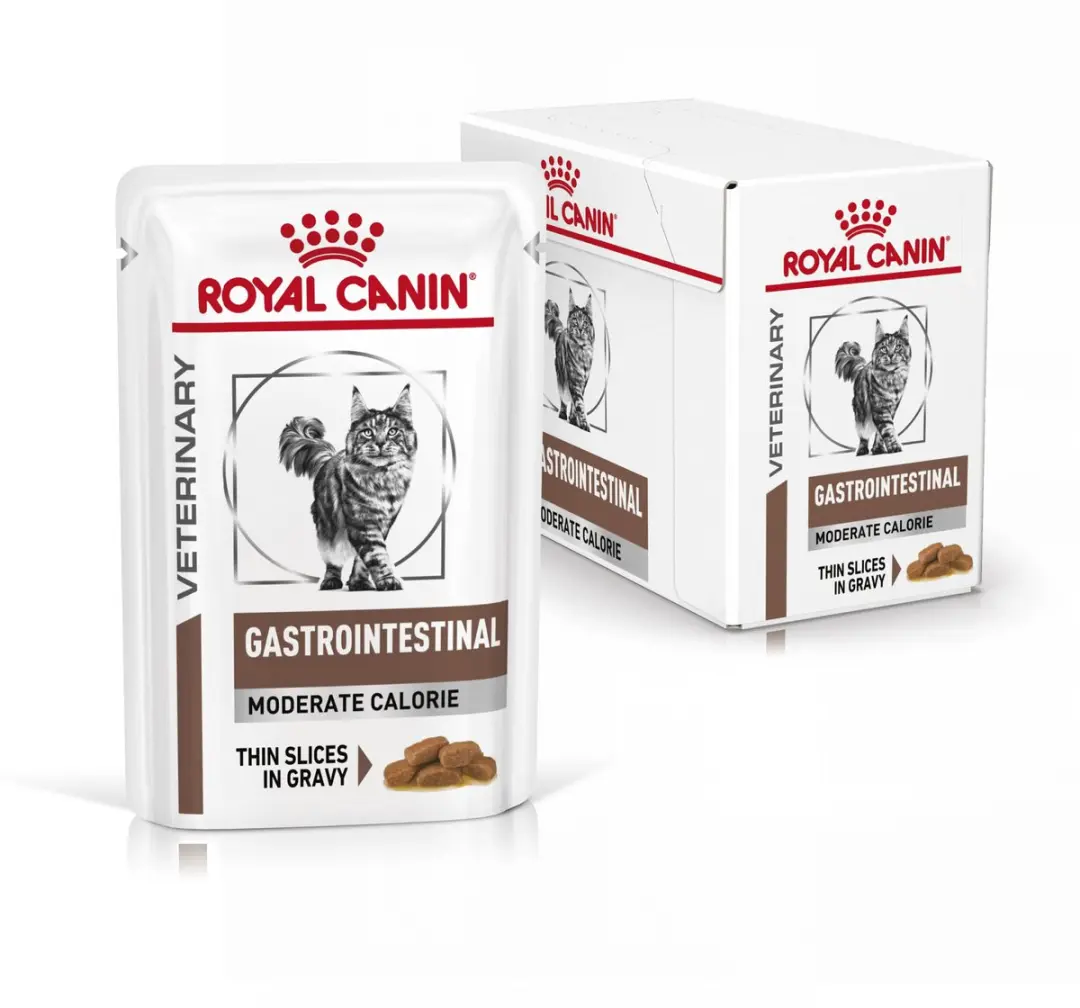Royal Canin Gastro Intestinal Kat 48x85g