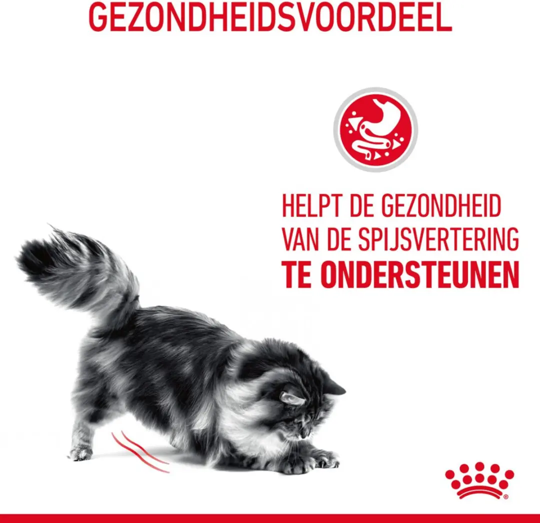 Royal Canin Digestive Care Kattenvoer - 4x4kg