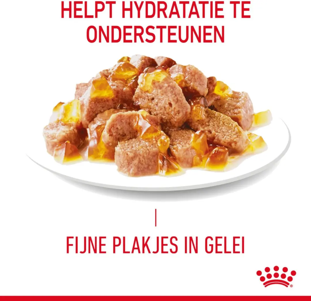 Royal Canin Kattenvoer Nat Light Weight Care Jelly - 48x85g
