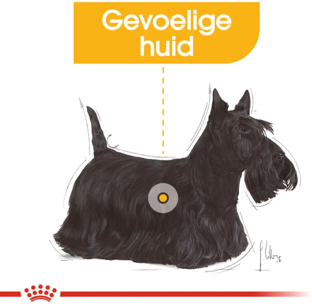 Royal Canin Dermacomfort Mini Hondenvoer - 12 kg