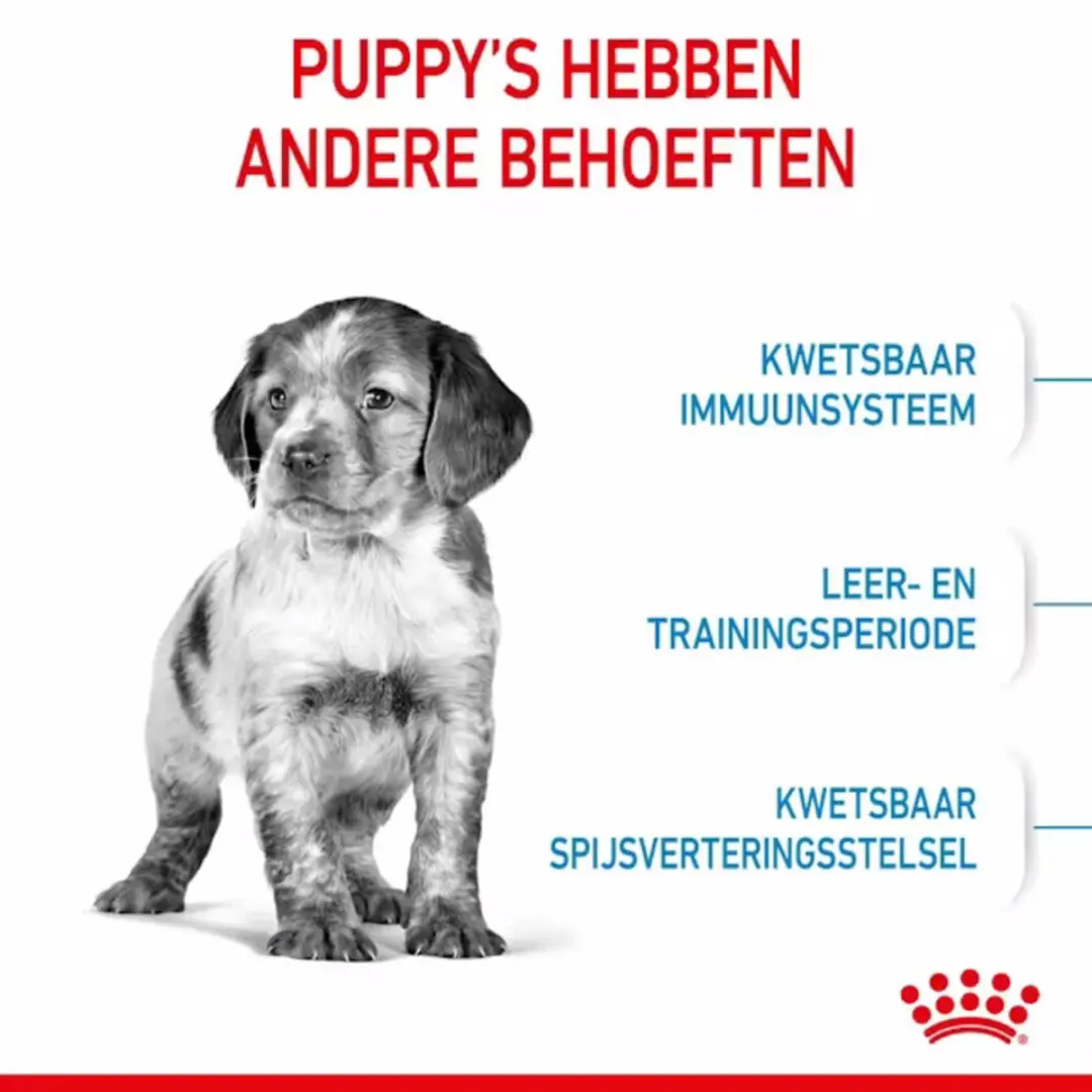 Royal Canin Puppy Medium Hondenbrokken 15kg - afbeelding 6 van 6