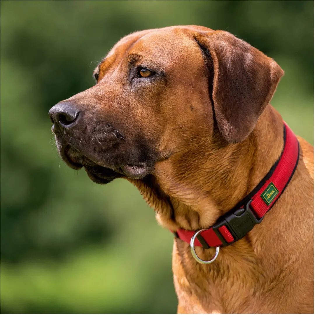 Hunter Vario Plus Hondenhalsband 30-35cm - Rood/Zwart