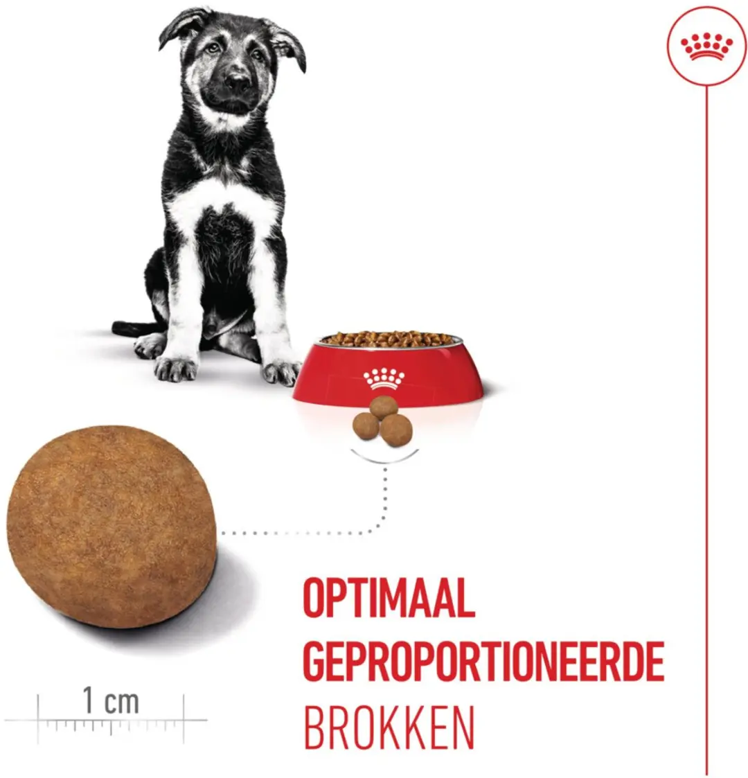 Royal Canin Maxi Puppy Hondenvoer - 2x4kg - afbeelding 6 van 6