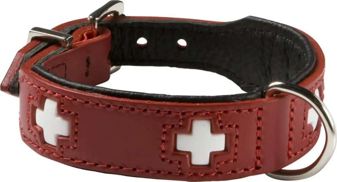 Hunter Hondenhalsband Swiss