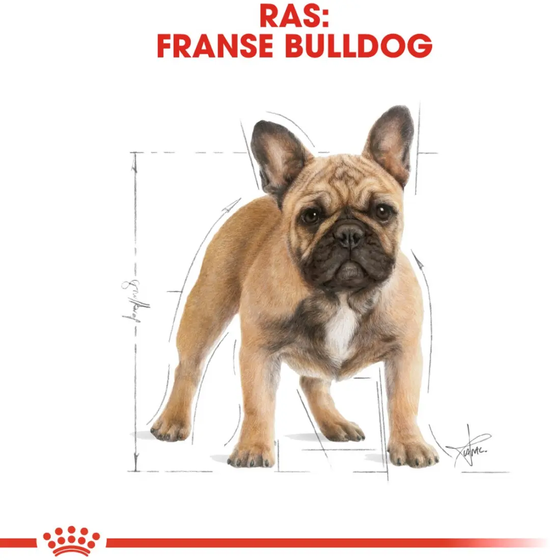 Royal Canin French Bulldog Adult Hondenvoer - 1,5 kg