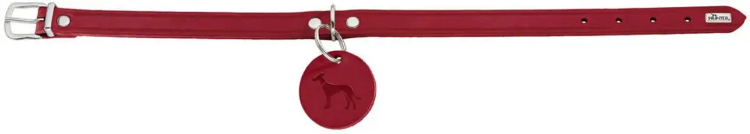 Hunter Aalborg Hondenhalsband - Rood XS