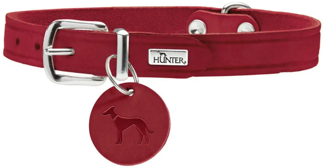 Hunter Aalborg Hondenhalsband