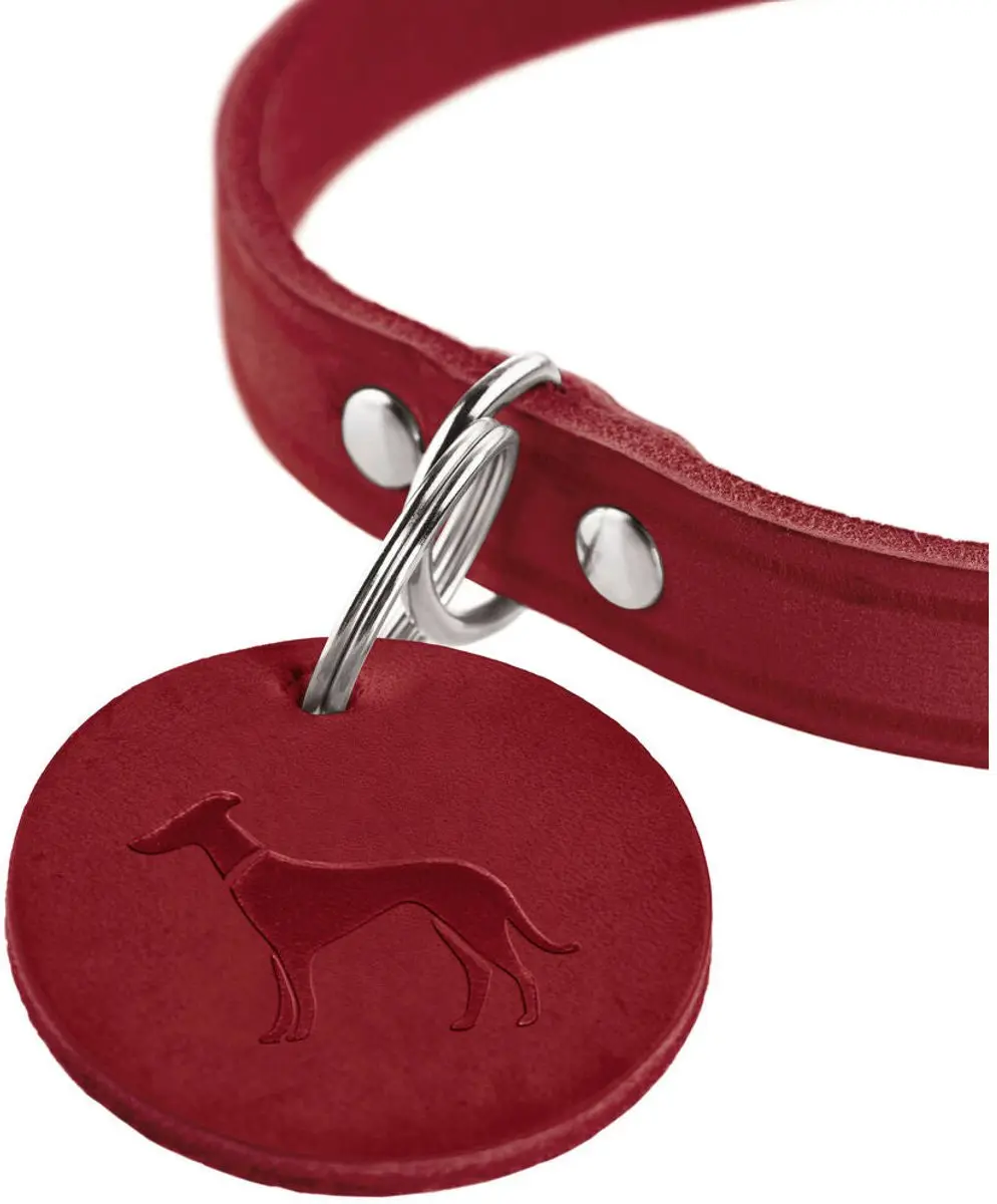 Hunter Aalborg Hondenhalsband - Rood XS