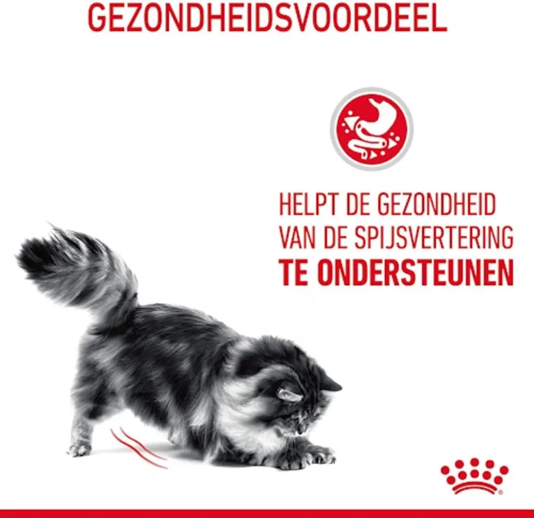 Royal Canin Digestive Care in Gravy Katten Natvoer - 36 Stuks