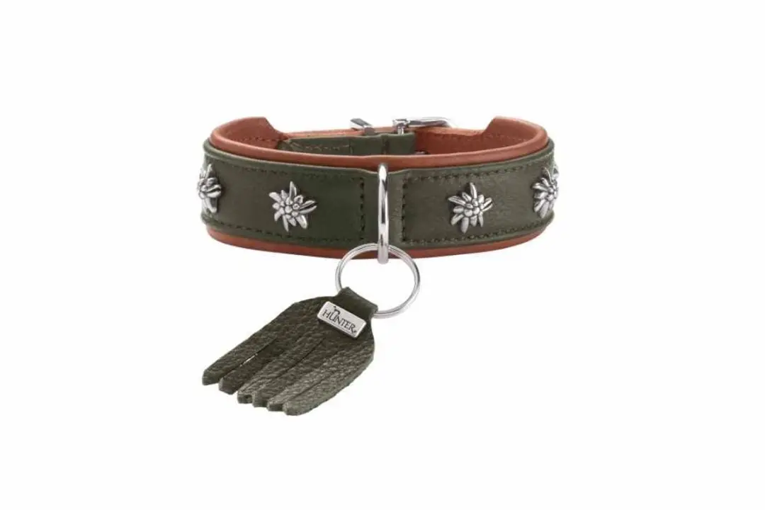 Hunter Hondenhalsband München